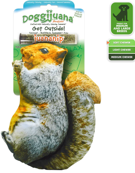 Get Outside Squirrel Dog Toy 