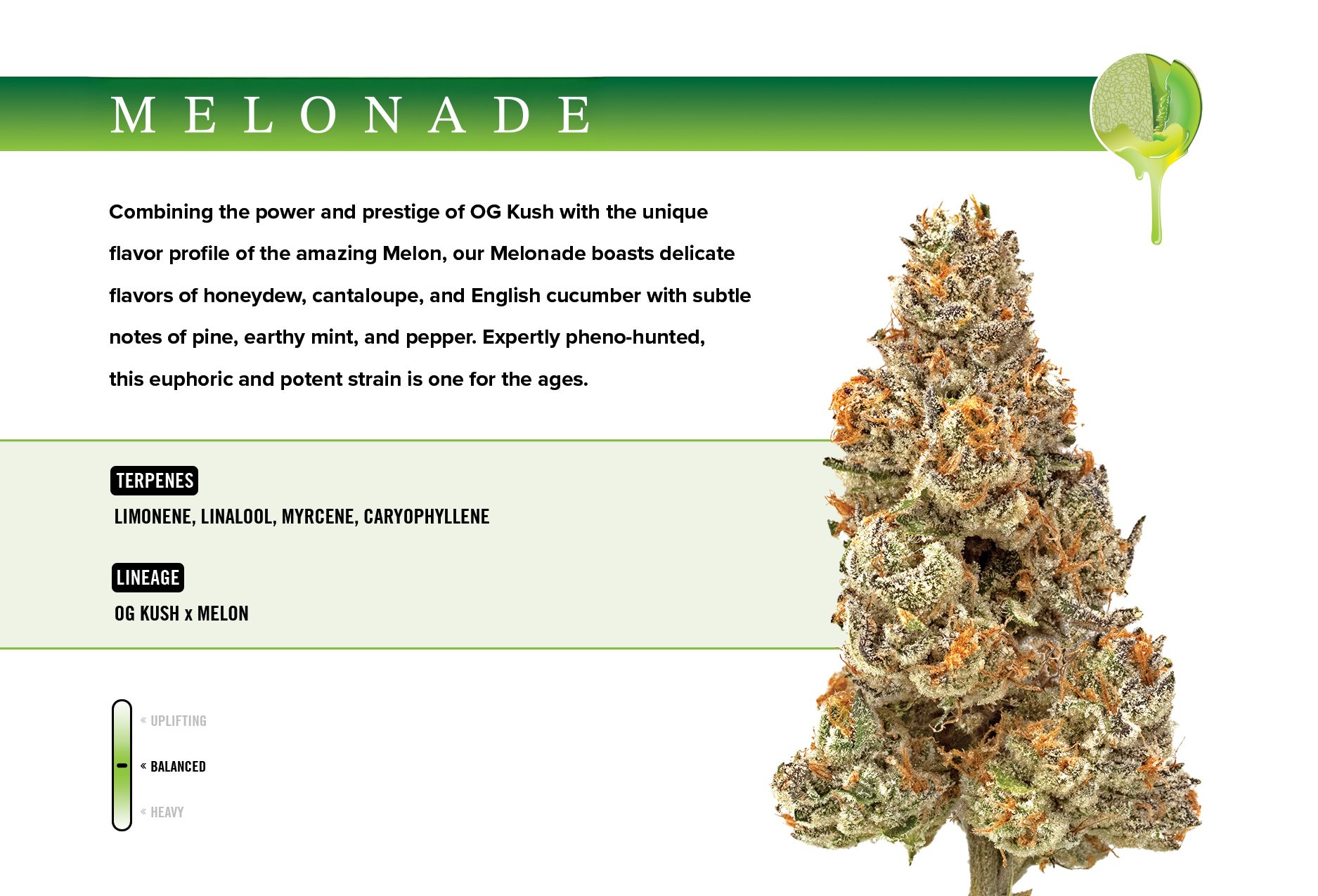 Melon OG 3.5g