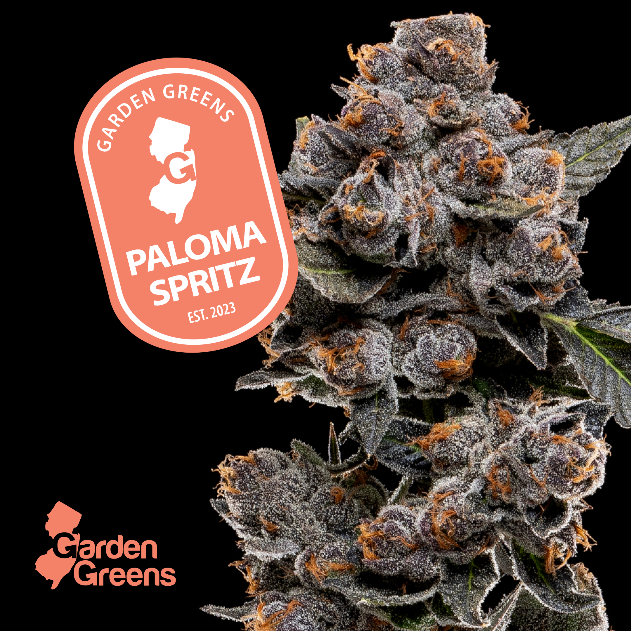 Paloma Spritz 3.5g