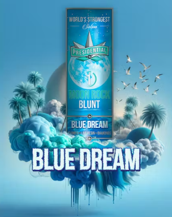 PRESIDENTIAL - INFUSED BLUNT - SATIVA - BLUE DREAM - 1.5G