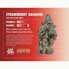 Seed junky - SEED JUNKY - FLOWER - HYBRID - STRAWBERRY DAIQUIRI - 3.5G Main Image