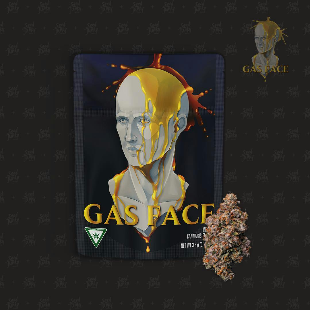 Seed junky - SEED JUNKY - FLOWER - HYBRID - GAS FACE - 3.5G Main Image