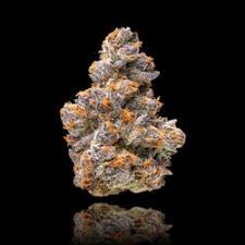 MAVEN - PREROLL - GOLDIES - SATIVA - ORANGE SAPPHIRE - 1.2G 