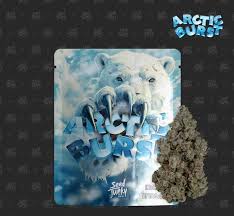 SEED JUNKY - FLOWER - INDICA - ARCTIC BURST - 3.5G