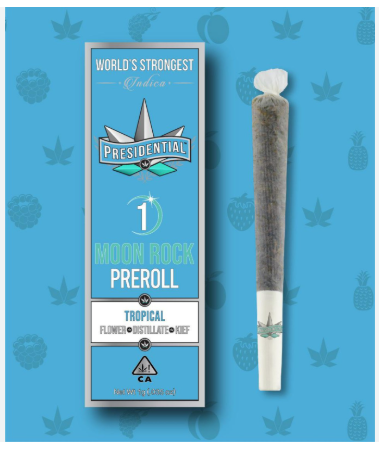 PRESIDENTIAL - INFUSED PREROLL - INDICA - SKYWALKER - 1G