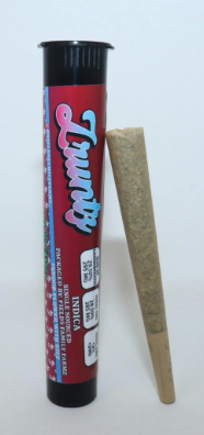 Fields family farmz - FIELDS FAMILY FARMZ - INFUSED PREROLL - INDICA - Z RUNTZ - 1G  Main Image