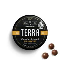 TERRA - EDIBLE - MILK CHOCOLATE SALTED CARAMEL - 100MG