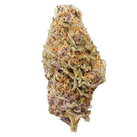 Humo - HUMO - FLOWER - SATIVA - HERMOSA - 3.5G  Main Image