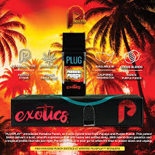 Plugplay - PLUGPLAY - POD - EXOTICS - PARADISE PUNCH - 1G Main Image