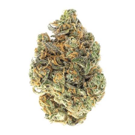 Gramlin - GRAMLIN - FLOWER - EXOTICS - INDICA - MINT MARKER - 3.5G  Main Image