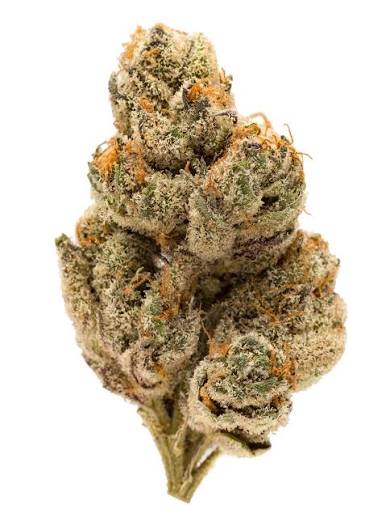 Humo - HUMO - FLOWER - HYBRID - DOSIDOS - 3.5G  Main Image