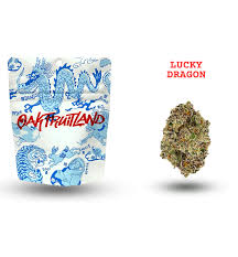 OAKFRUITLAND - FLOWER - HYBRID - LUCKY DRAGON - 3.5G
