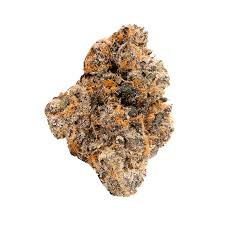 Seed junky - SEED JUNKY - FLOWER - HYBRID - BONFIRE - 3.5G  Main Image