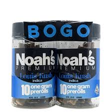 NOAH'S PREMIUM - PREROLL PACK - INDICA - LOUIS KUSH - 1G (20PK)