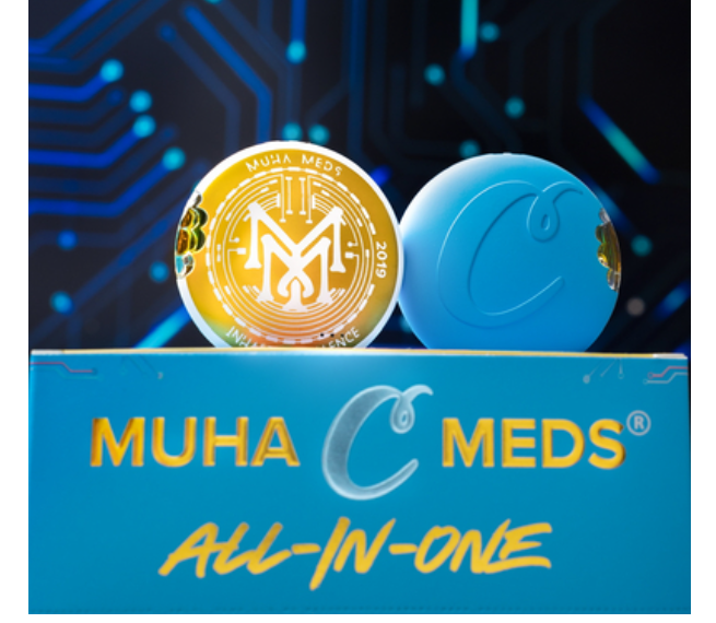 MUHA MEDS - AIO - HYBRID - APPLES AND BANANAS - 1G