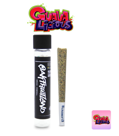 OAKFRUITLAND - PREROLL - HYBRID - GUAVALICIOUS - 1G