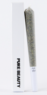 PURE BEAUTY - PREROLL - THC/CBD 1:1 - GUSH MNTS - 1G