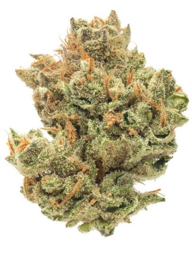 RUSH - FLOWER - SATIVA - SUPER LEMON HAZE - 3.5G 