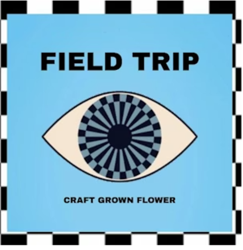 Field trip - FIELD TRIP - FLOWER - HYBRID - HIGHLIGHTER - 5G Main Image