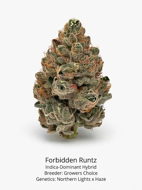 Revelry - REVERLY - FLOWER - INDICA - FORBIDDEN RUNTZ - 14G  Main Image