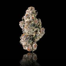 MAVEN - PREROLL - GOLDIES - INDICA - BLACK LOTUS - 1.2G 
