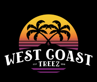 West coast treez - WEST COAST TREEZ - FLOWER - SATIVA - 5 ALIVE - 3.5 g Main Image