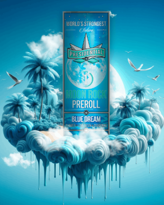 PRESIDENTIAL - INFUSED PREROLL - SATIVA - BLUE DREAM - 1G