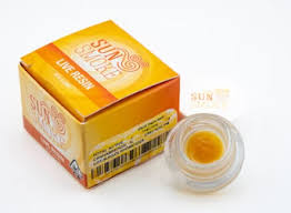 Sunsmoke - SUNSMOKE - COCENTRATE - LIVE ROSIN - HYBRID - KUSH MINTS - 1G Main Image