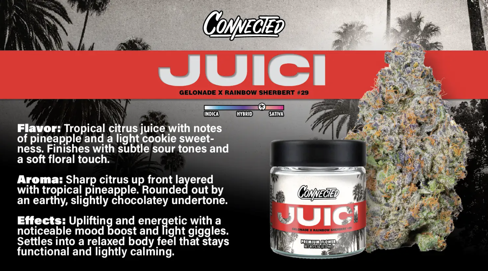 CONNECTED - FLOWER - HYBRID - JUICI - 3.5G