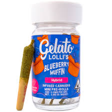 GELATO - LOLLI'S - INFUSED PREROLL PACK - INDICA - BLUEBERRY MUFFIN - .6G - (5PK)