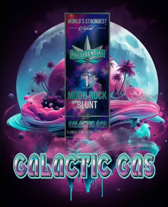 PRESIDENTIAL - INFUSED PREROLL - HYBRID - GALACTIC GAS - 1G