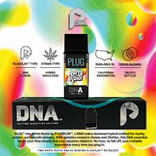 PLUGPLAY - POD - DNA - HYBRID - WHITE RUNTZ - 1G