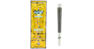 PRESIDENTIAL - INFUSED PREROLL - INDICA - 24K - 1G