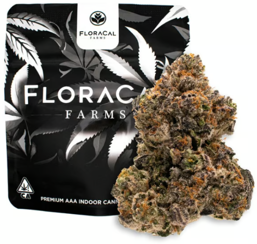 FLORACAL - FLOWER - INDICA - WHITE LOBSTER - 3.5G