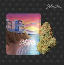 Seed junky - SEED JUNKY - FLOWER - HYBRID - MALIBU - 3.5G Main Image