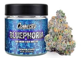 Connected - CONNECTED - FLOWER - SATIVA HYBRID - BLUEPHORIA - 3.5G Main Image
