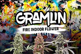 GRAMLIN - FLOWER - INDICA - SUNSET SHERBERT - 3.5G