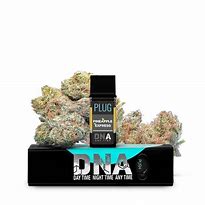 PLUGPLAY - CARTRIDGE - POD - HYBRID - PINEAPPLE EXPRESS - 1G