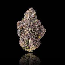 MAVEN - PREROLL - GOLDIES - INDICA - LIPSTAIN - 1.2G 
