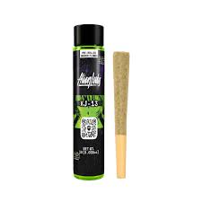 Alien labs - ALIEN LABS - PREROLL - SATIVA - XJ13 - 1G Main Image