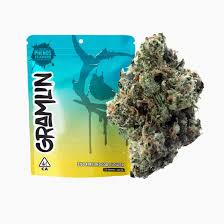 GRAMLIN - FLOWER - SATIVA - PINEAPPLE SUPREME - 3.5G