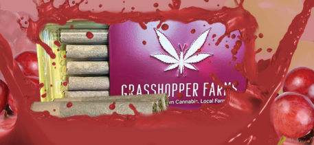 INFUSED PREROLL - INDICA - LEMON CHERRY - 1G