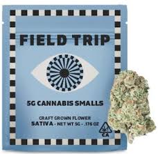 FIELD TRIP - FLOWER - SMALLS - SATIVA - BLUEBERRY DREAM - 5G