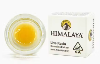HIMALAYA - CONCENTRATE - SUGAR - HYBRID - SHAKE SHACK - 1G