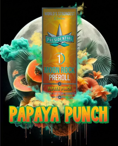 PRESIDENTIAL - INFUSED PREROLL - SATIVA - PAPAYA PUNCH - 1G