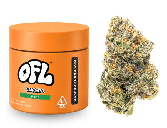 OAKFRUITLAND - FLOWER - HYBRID - OAK-LATO - 7G