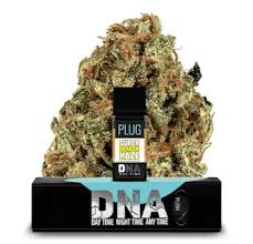 PLUGPLAY - POD - DNA - SATIVA - SUPER LEMON HAZE - 1G