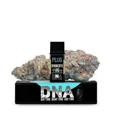 PLUGPLAY - POD - DNA - INDICA - SYNDICATE OG - 1G