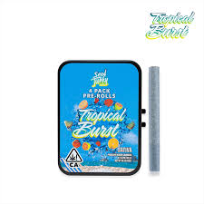 Seed junky - SEED JUNKY - PREROLL PACK - SATIVA - TROPICAL BURST - 4PK - 4G  Main Image