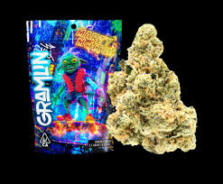 GRAMLIN - INDOOR  FLOWER - HYBRID - ZOAP X FIREJUANA - 3.5G